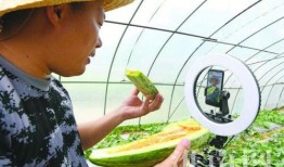 网红吃瓜漫画视频大全在线观看,一键在线观看！