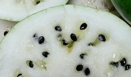 兰州籽瓜可以免费吃吗,免费品尝的夏日美味诱惑